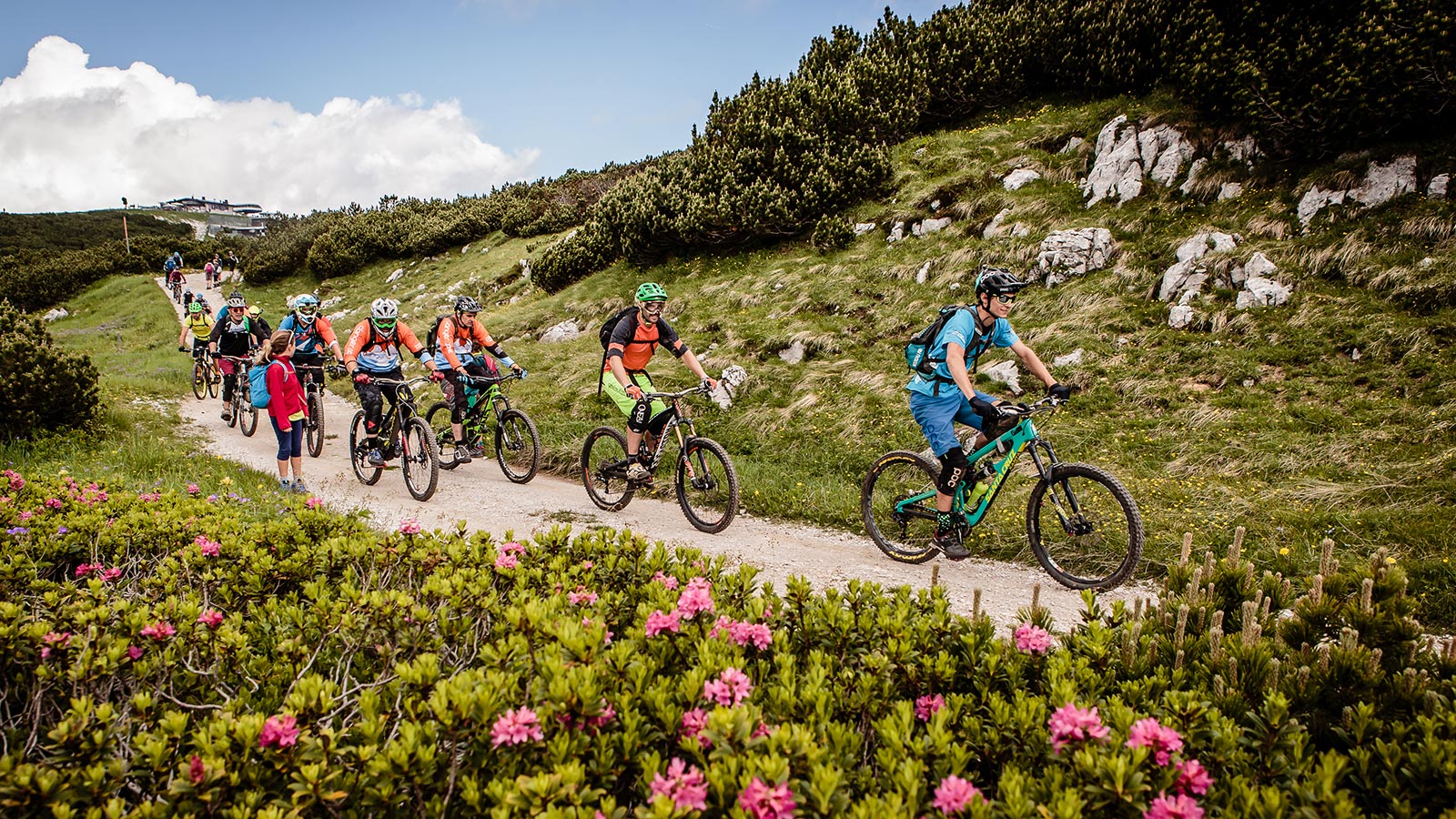 Un gruppo di ciclisti affronta una discesa ad Andalo in Trentino