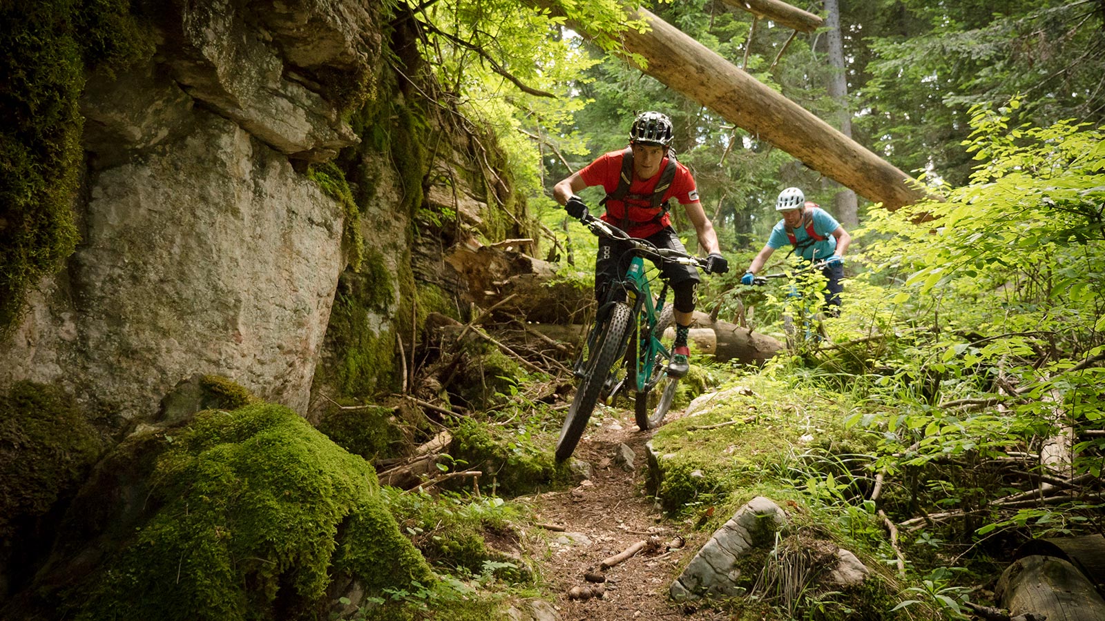 Due ragazzi durante un'escursione nel bosco nei dintorni del Bike Residence ad Andalo